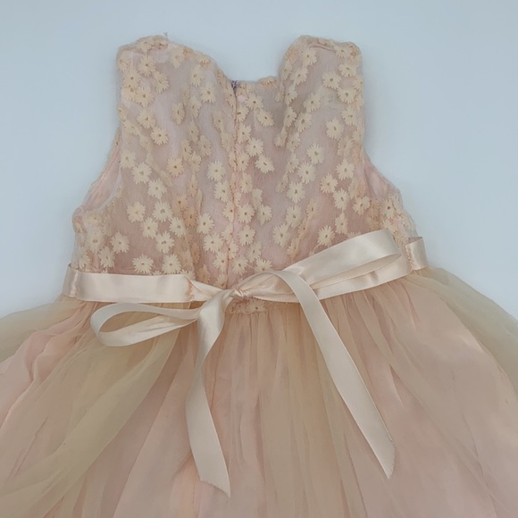 Blink Blank Elegant Sleeveless Lace Dress Flower Girls - Picture 6 of 13